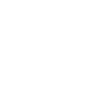 Instagram Bug